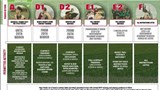 Return To Rugby Roadmap Mar 2021